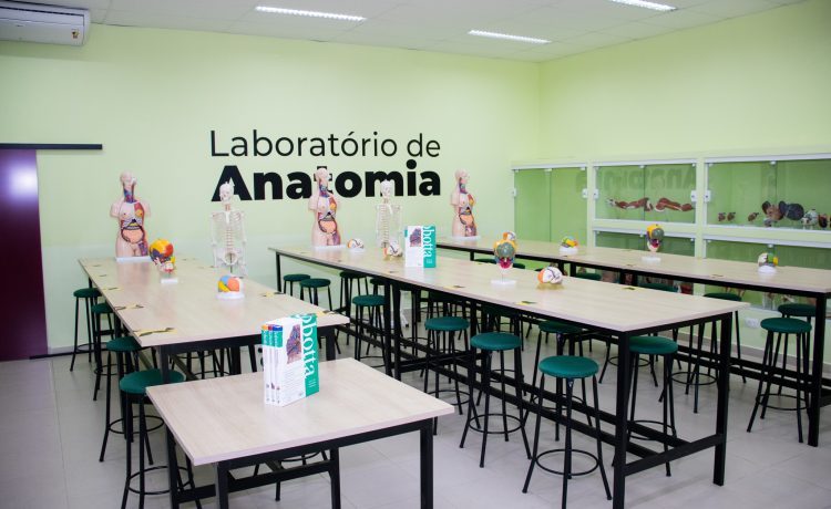 Laboratório de Anatomia Nosso laboratório de anatomia, que conta com modelos anatômicos e didáticos de partes do corpo humano.